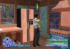 The Sims 2 (Consoles)