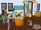 The Sims 2 Celebration! Stuff