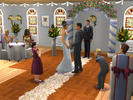 The Sims 2 Celebration! Stuff