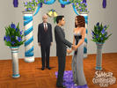 The Sims 2 Celebration! Stuff