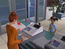 The Sims 2 Open for Business