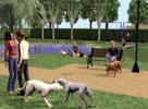 The Sims 2 Pets