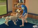 The Sims 2 Pets (PC)