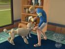 The Sims 2 Pets Console Screenshot