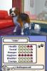 The Sims 2 Pets NDS (DS-x2)