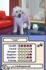 The Sims 2 Pets NDS (DS-x2)
