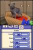 The Sims 2 Pets NDS (EA)