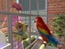 The Sims 2 Pets PC Screenshot