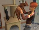 The Sims 2 Pets PC Screenshot