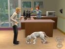 The Sims 2 Pets PC Screenshot