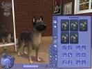 The Sims 2 Pets PC