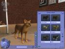 The Sims 2 Pets PC