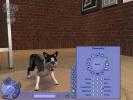 The Sims 2 Pets PC