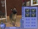 The Sims 2 Pets PC