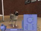 The Sims 2 Pets PC