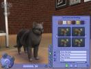 The Sims 2 Pets PC