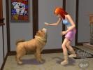 The Sims 2 Pets (PC)