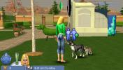 The Sims 2 Pets (PSP)