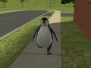 Penguin in Summer