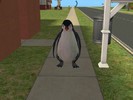 Penguin in Summer