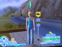 The Sims 2 Consoles