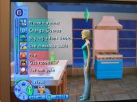 The Sims 2 Consoles