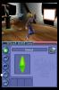 The Sims 2 (DS)