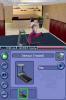 The Sims 2 (DS)