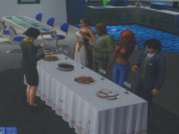 The Sims 2 FreeTime