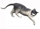 The Sims 2 Pets Render