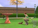 The Sims 2 Pets (PS2, GameCube)