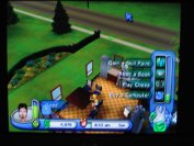 The Sims 2 Pets (PS2)