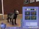 The Sims 2 Pets (PC)