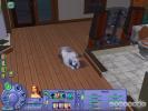 The Sims 2 Pets (PC)