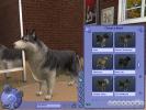 The Sims 2 Pets (PC)