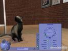 The Sims 2 Pets (PC)