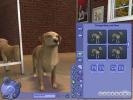 The Sims 2 Pets (PC)