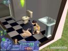 The Sims 2 Pets (PC)