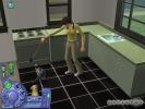 The Sims 2 Pets (PC)