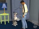 The Sims 2 Pets (PC)