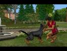 The Sims 2 Pets (PC)