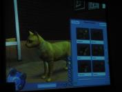 The Sims 2 Pets (PC)