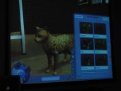 The Sims 2 Pets (PC)