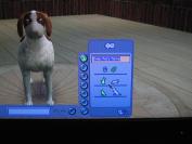 The Sims 2 Pets (PC)