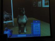 The Sims 2 Pets (PC)