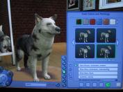 The Sims 2 Pets (PC)