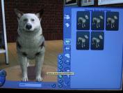 The Sims 2 Pets (PC)