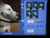 The Sims 2 Pets (PC)