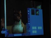 The Sims 2 Pets (PC)