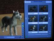 The Sims 2 Pets (PC)